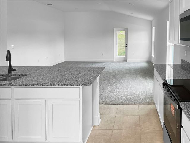 275 VERNY GROVE LANE, Leesburg, FL 34748