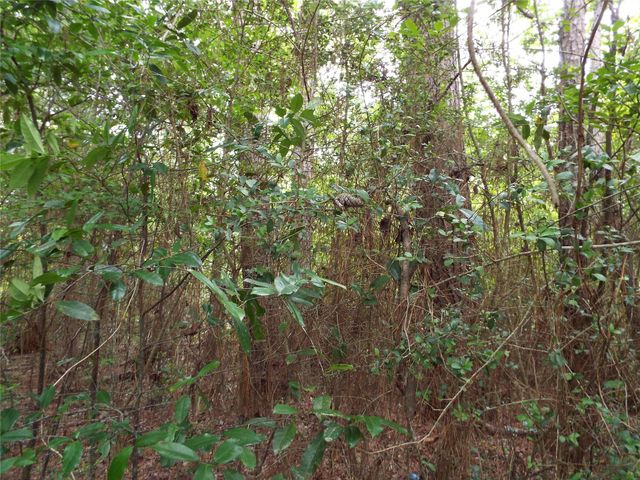 TBD 00 Fm 222 Loop S Highway, Coldspring, TX 77331