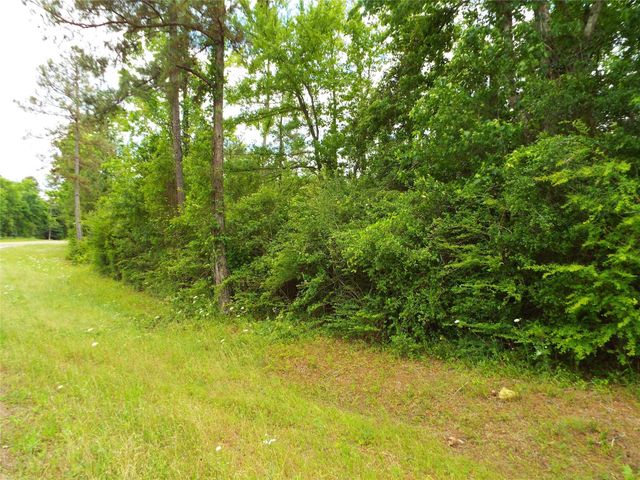 TBD 00 Fm 222 Loop S Highway, Coldspring, TX 77331