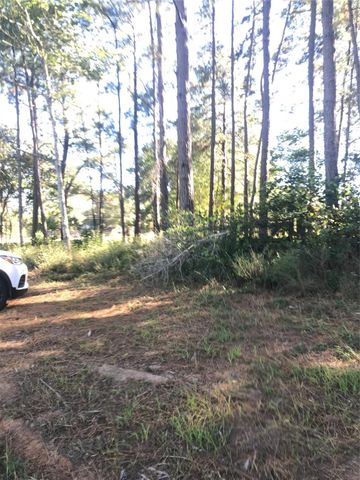 TBD 00 Fm 222 Loop S Highway, Coldspring, TX 77331