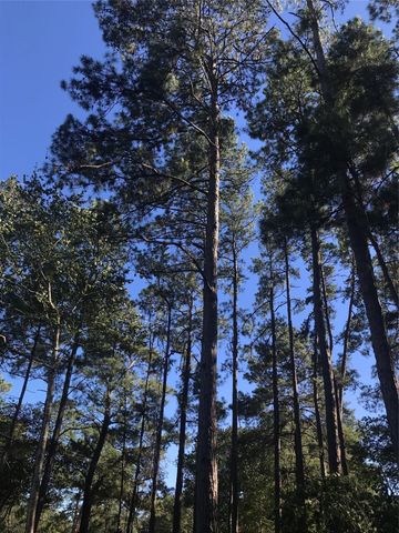 TBD 00 Fm 222 Loop S Highway, Coldspring, TX 77331