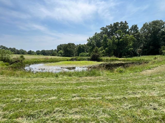 2191 County Road 2790, Mountain View, MO 65548