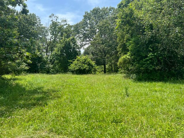 2191 County Road 2790, Mountain View, MO 65548