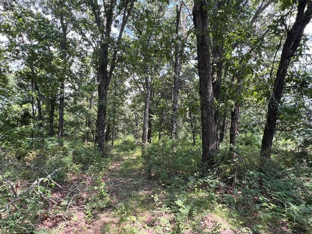 2191 County Road 2790, Mountain View, MO 65548