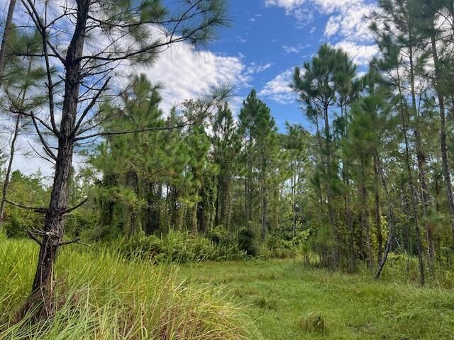 1135 Greenfield Street, Lake Placid, FL 33852