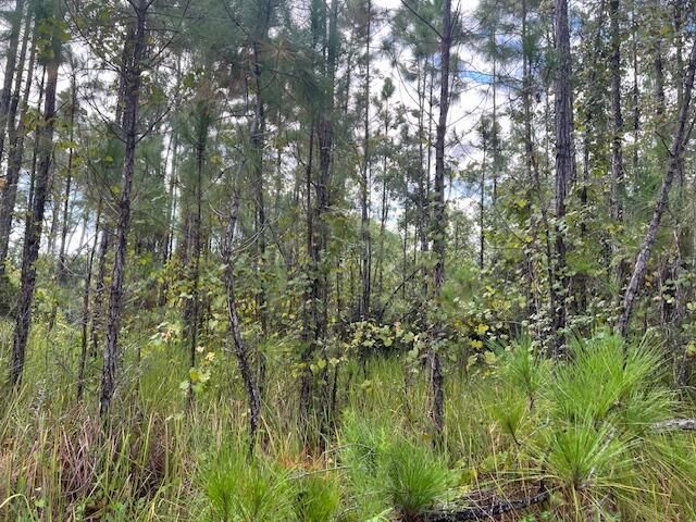 1135 Greenfield Street, Lake Placid, FL 33852