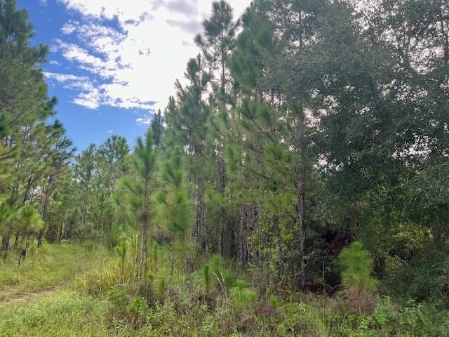 1135 Greenfield Street, Lake Placid, FL 33852