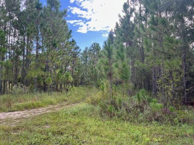 1135 Greenfield Street, Lake Placid, FL 33852