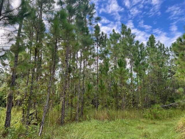 1135 Greenfield Street, Lake Placid, FL 33852