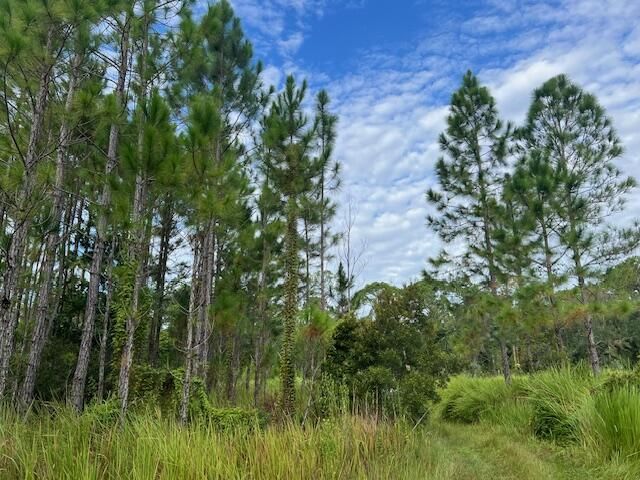 1135 Greenfield Street, Lake Placid, FL 33852