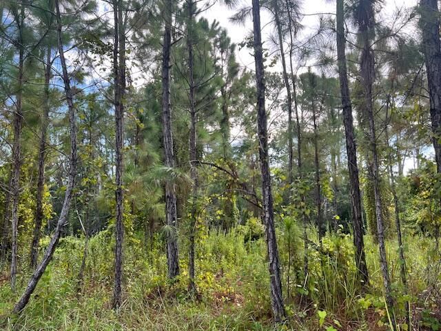 1135 Greenfield Street, Lake Placid, FL 33852