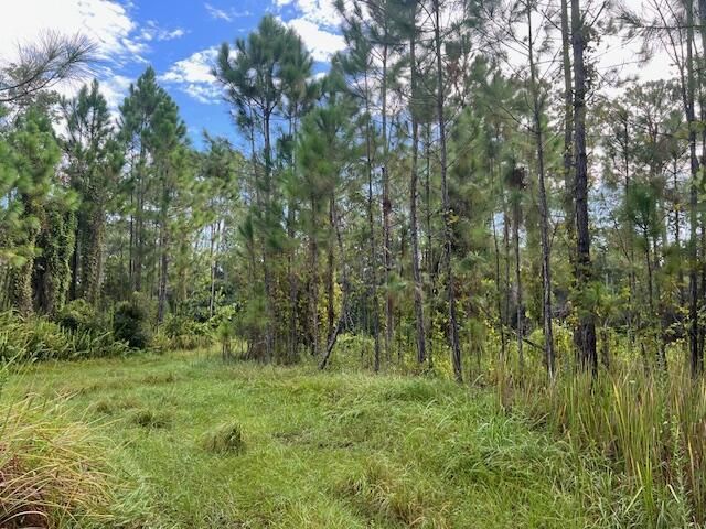 1135 Greenfield Street, Lake Placid, FL 33852