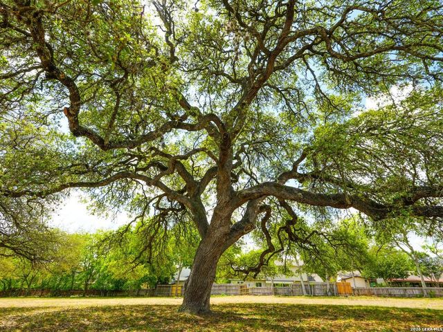 137 Kitty Hawk, Universal City, TX 78148