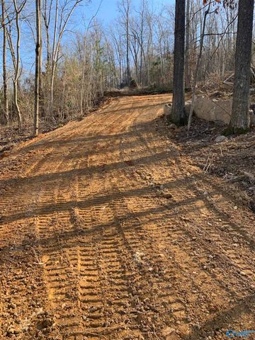 LOT 22 Snug Harbor Road, Grant, AL 35747