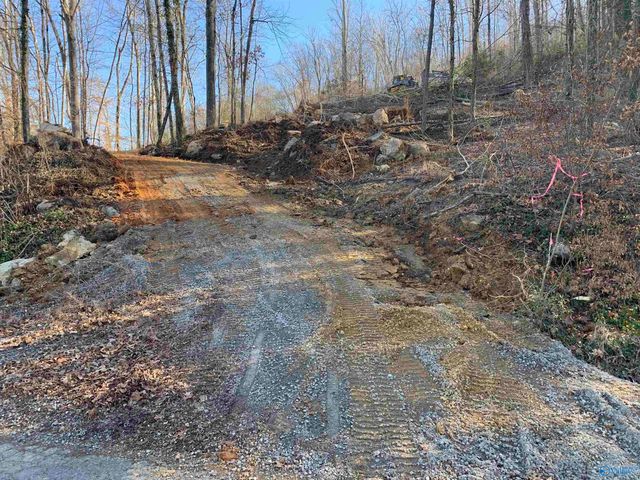 LOT 22 Snug Harbor Road, Grant, AL 35747