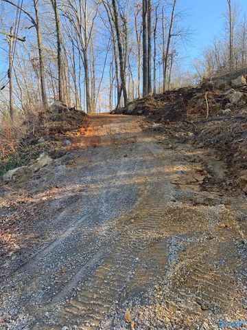 LOT 22 Snug Harbor Road, Grant, AL 35747