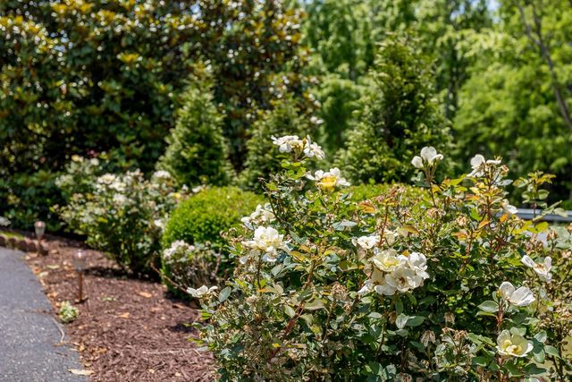 4003 PIRKEY LN, Rockingham, VA 22801