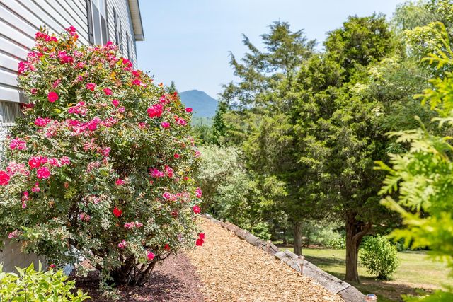 4003 PIRKEY LN, Rockingham, VA 22801