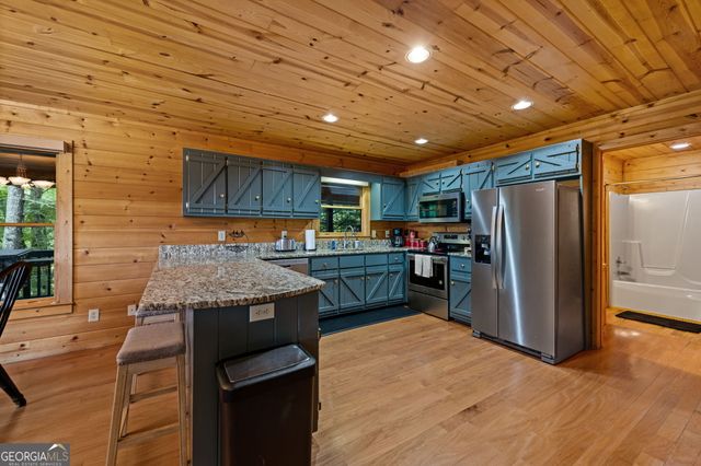 1571 W Campbell Camp Road, Blue Ridge, GA 30513