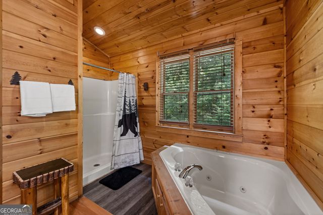 1571 W Campbell Camp Road, Blue Ridge, GA 30513