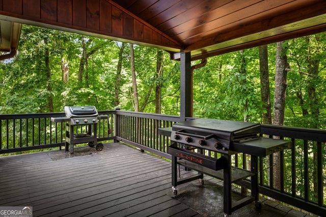 1571 W Campbell Camp Road, Blue Ridge, GA 30513