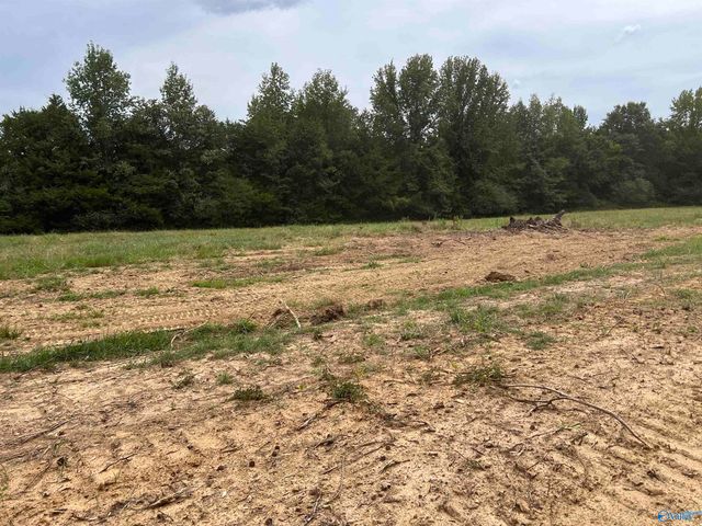 21208 Holland Road, Athens, AL 35614