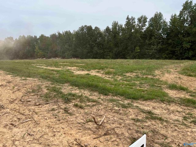 21208 Holland Road, Athens, AL 35614