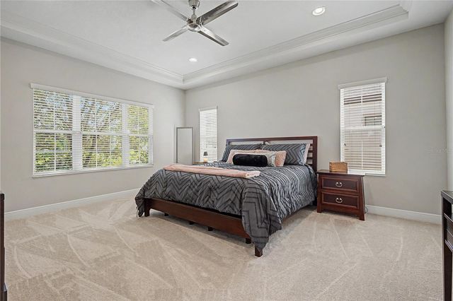 8118 WATER COLOR DRIVE, Land O Lakes, FL 34638