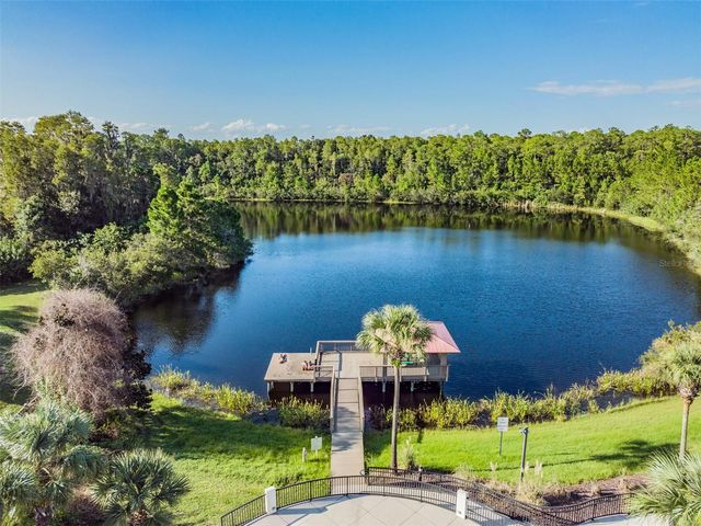 8118 WATER COLOR DRIVE, Land O Lakes, FL 34638