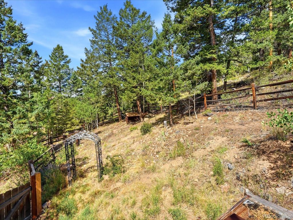 Image 38 of property listing at 11743 Braun Way, Conifer, CO 80433