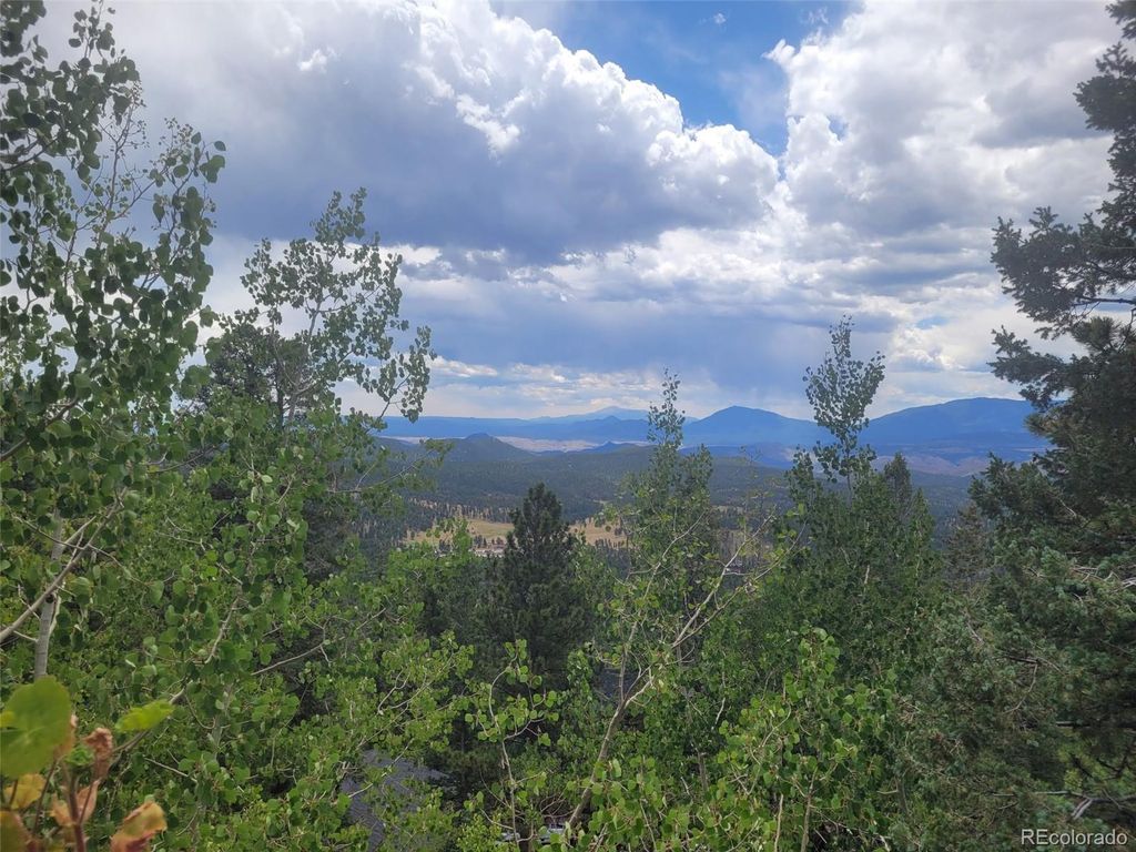 Image 42 of property listing at 11743 Braun Way, Conifer, CO 80433