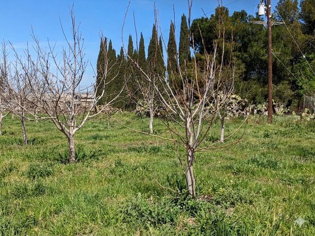 00 San Bruno Avenue, Morgan Hill, CA 95037