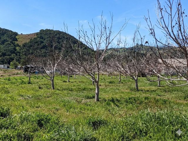 00 San Bruno Avenue, Morgan Hill, CA 95037