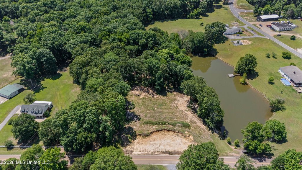 6851 Alphaba Road, Coldwater, MS 38618 — photo 2