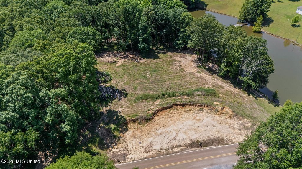 6851 Alphaba Road, Coldwater, MS 38618 — photo 3