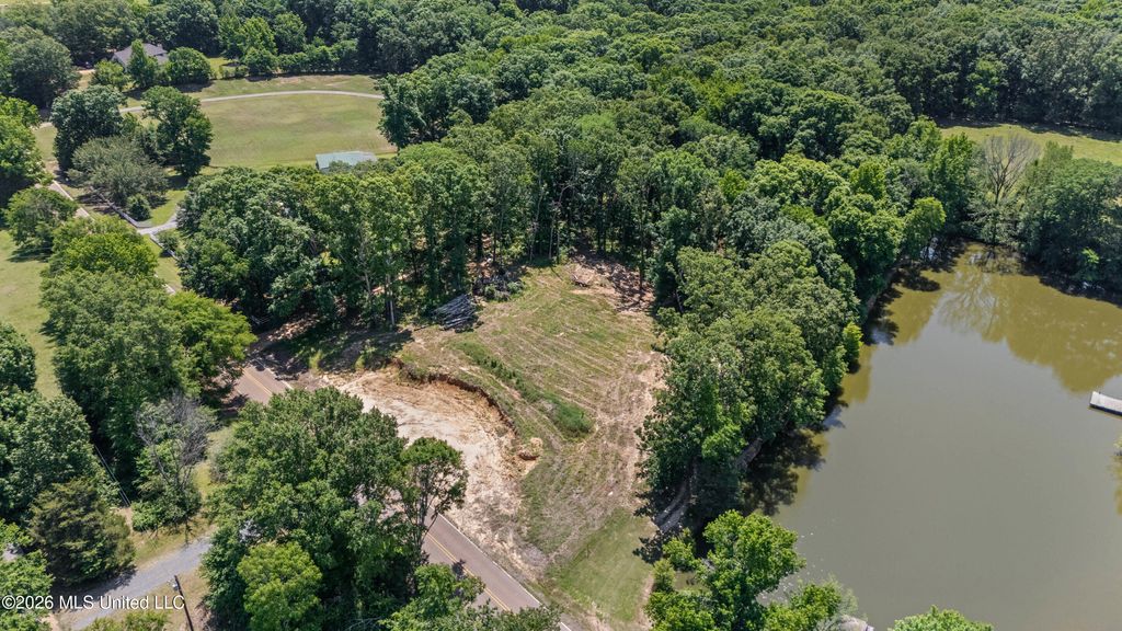 6851 Alphaba Road, Coldwater, MS 38618 — photo 4
