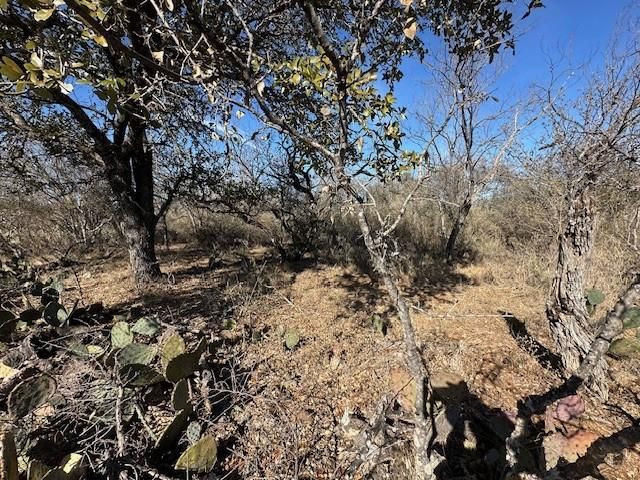 0 TBD Cedar DR, Marble Falls, TX 78654