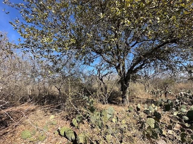 0 TBD Cedar DR, Marble Falls, TX 78654