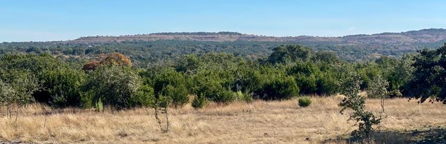 Lot 94 E. Dripping View CT, Blanco, TX 78606