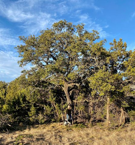Lot 94 E. Dripping View CT, Blanco, TX 78606