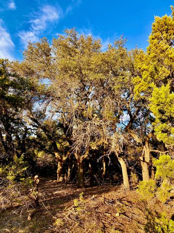 Lot 94 E. Dripping View CT, Blanco, TX 78606