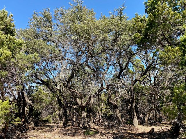Lot 94 E. Dripping View CT, Blanco, TX 78606