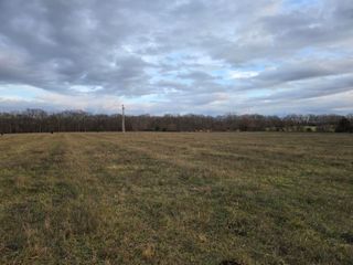 Lot 1 Johns Ford Road, Rogersville, MO 65742