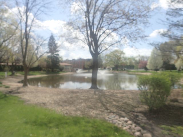 1127 S Old Wilke Road 101, Arlington Heights, IL 60005