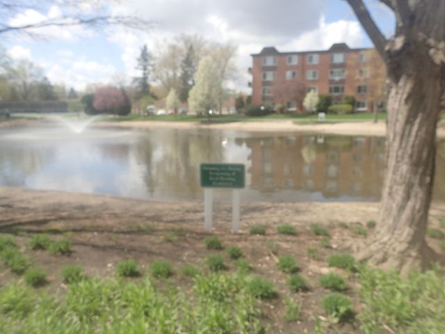 1127 S Old Wilke Road 101, Arlington Heights, IL 60005