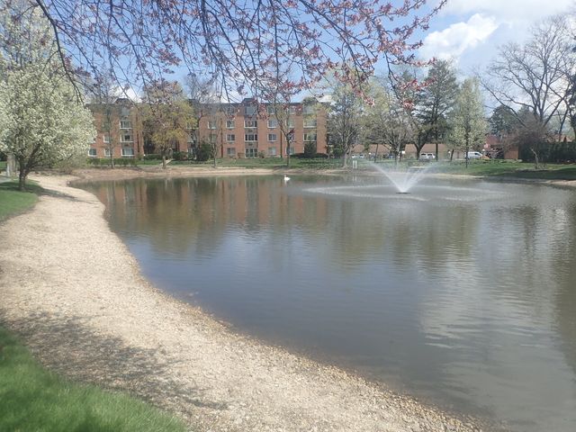 1127 S Old Wilke Road 101, Arlington Heights, IL 60005