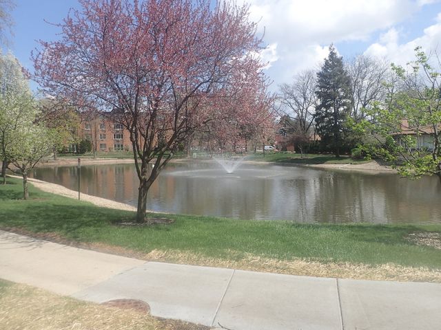 1127 S Old Wilke Road 101, Arlington Heights, IL 60005