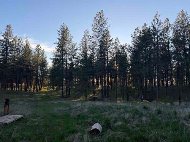 4101 N Christensen St, Medical Lake, WA 99022