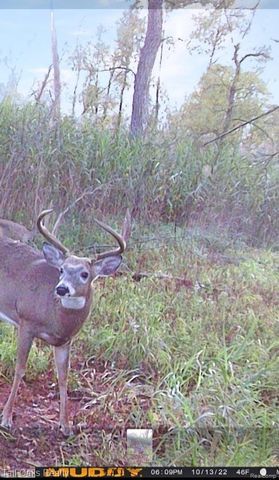 9198 Hegel Road, Atlas Township, MI 48438