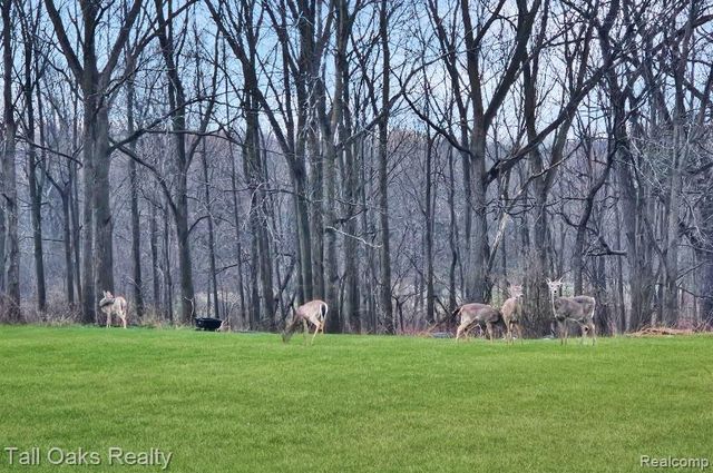 9198 Hegel Road, Atlas Township, MI 48438